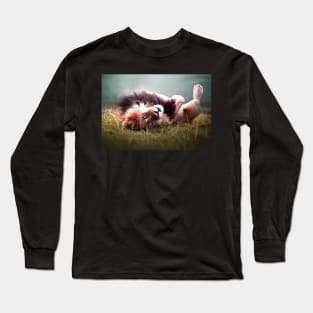 Playful lion lying on his back - adorable Long Sleeve T-Shirt